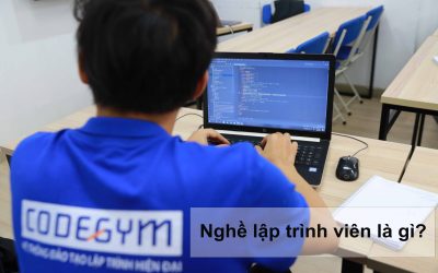 Tổng quan nghề lập trình viên