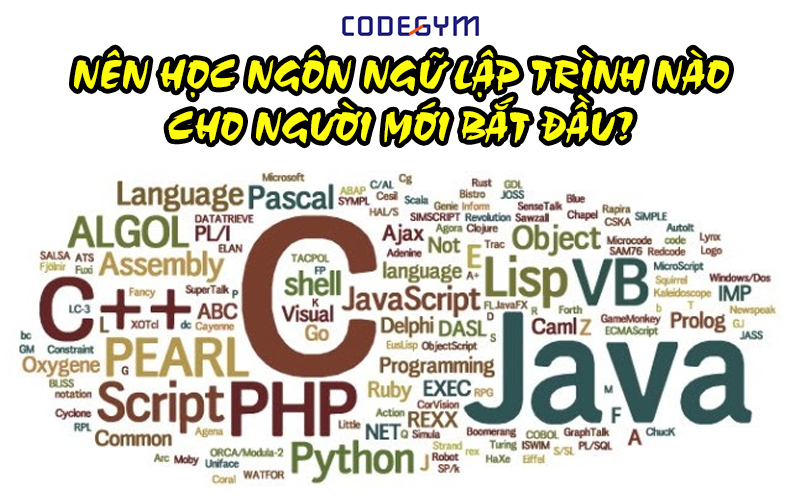 Mới học lập trình nên học ngôn ngữ nào