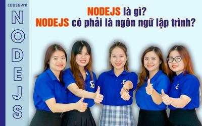 NodeJS là gì? NodeJS có phải là ngôn ngữ lập trình?